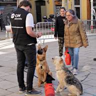 Más de 150 vecinos de Barcelona aprenden a educar a sus perros con los talleres gratuitos de Educación Canina Urbana